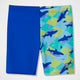 Blue/Green