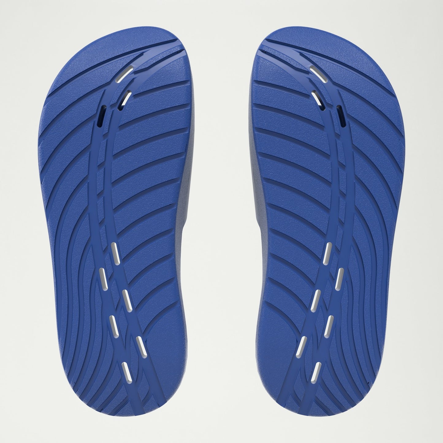 Speedo Slide Navy/White - Speedo
