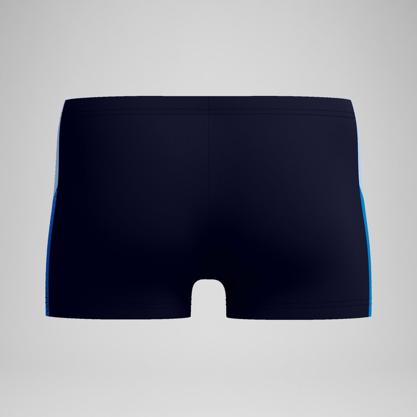 Dive Aquashorts Navy/Blue - Speedo