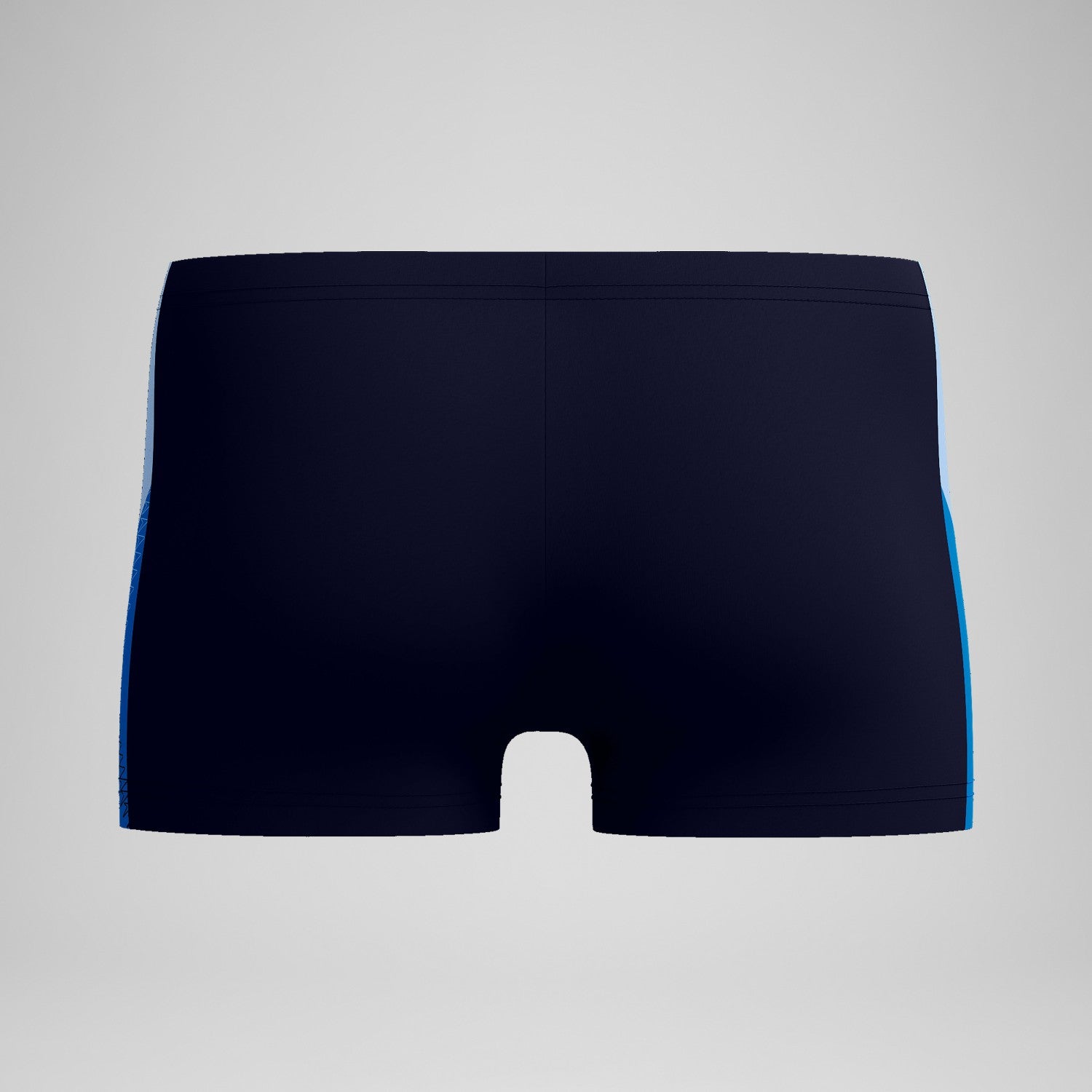 Dive Aquashorts Navy/Blue - Speedo
