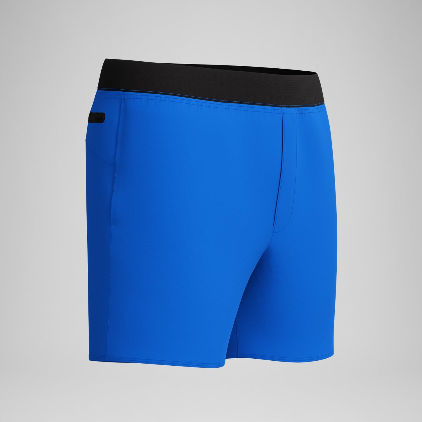 Lookout Solid Swim Shorts Blue - Speedo