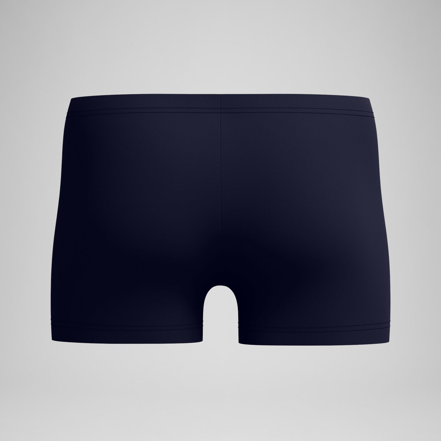 Medley Logo Aquashorts Navy/Blue - Speedo