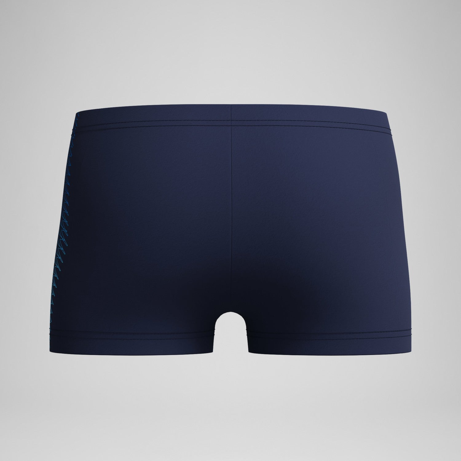 Boys Plastisol Placement Aquashorts Navy/Blue - Speedo