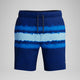 Navy/Blue