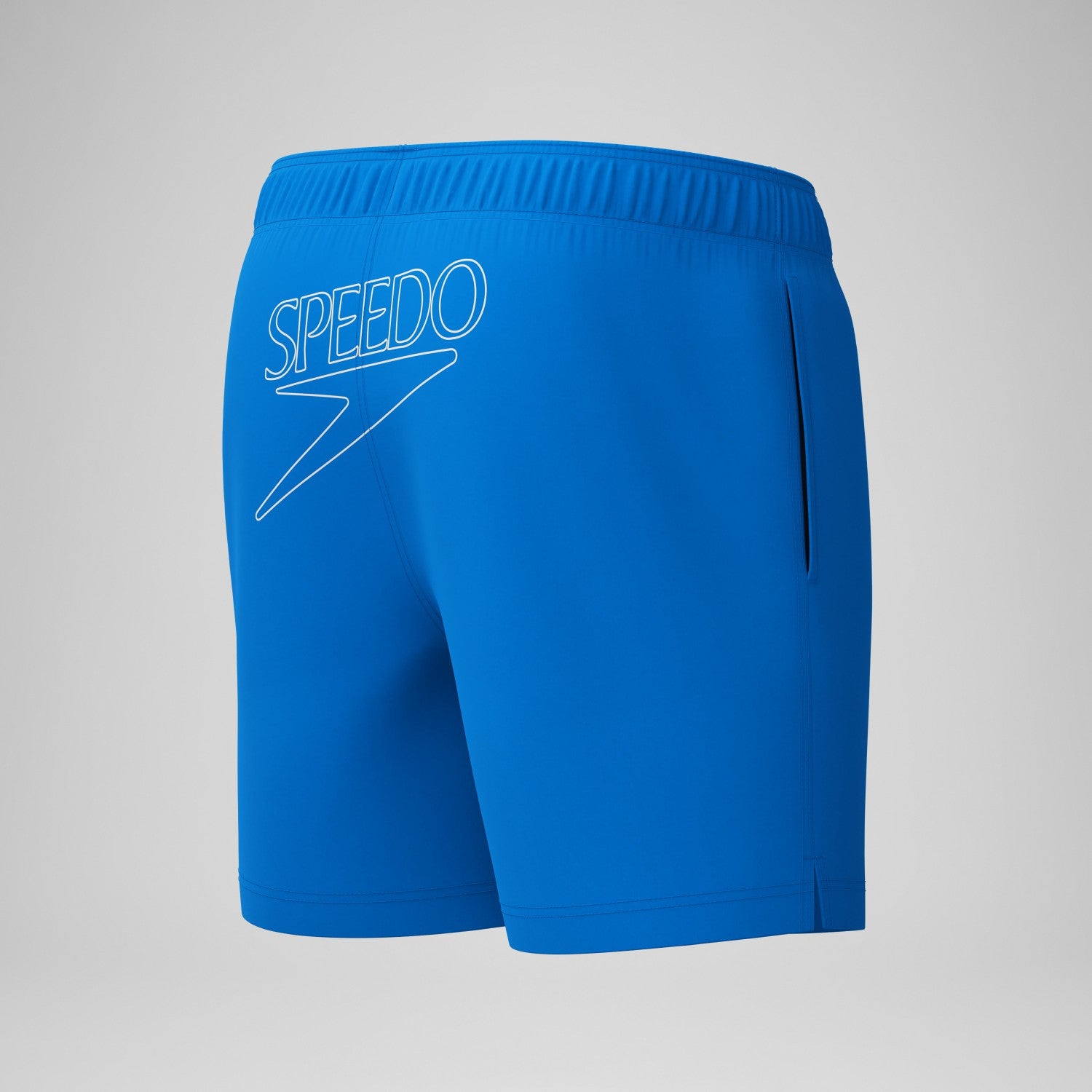 Classic Logo Swim Shorts Blue - Speedo